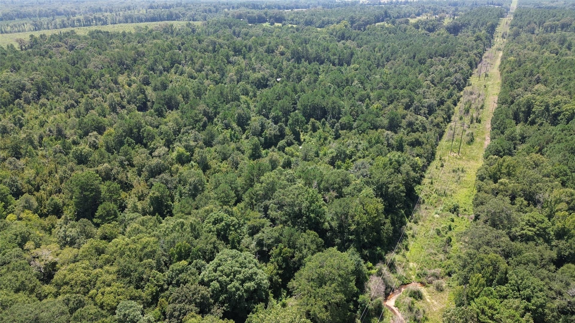 43.7 acres in Cass County - photo 3