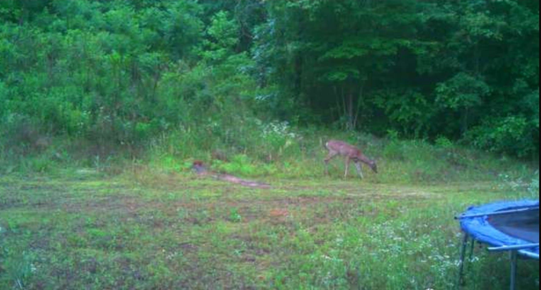 43.7 acres in Cass County - photo 32