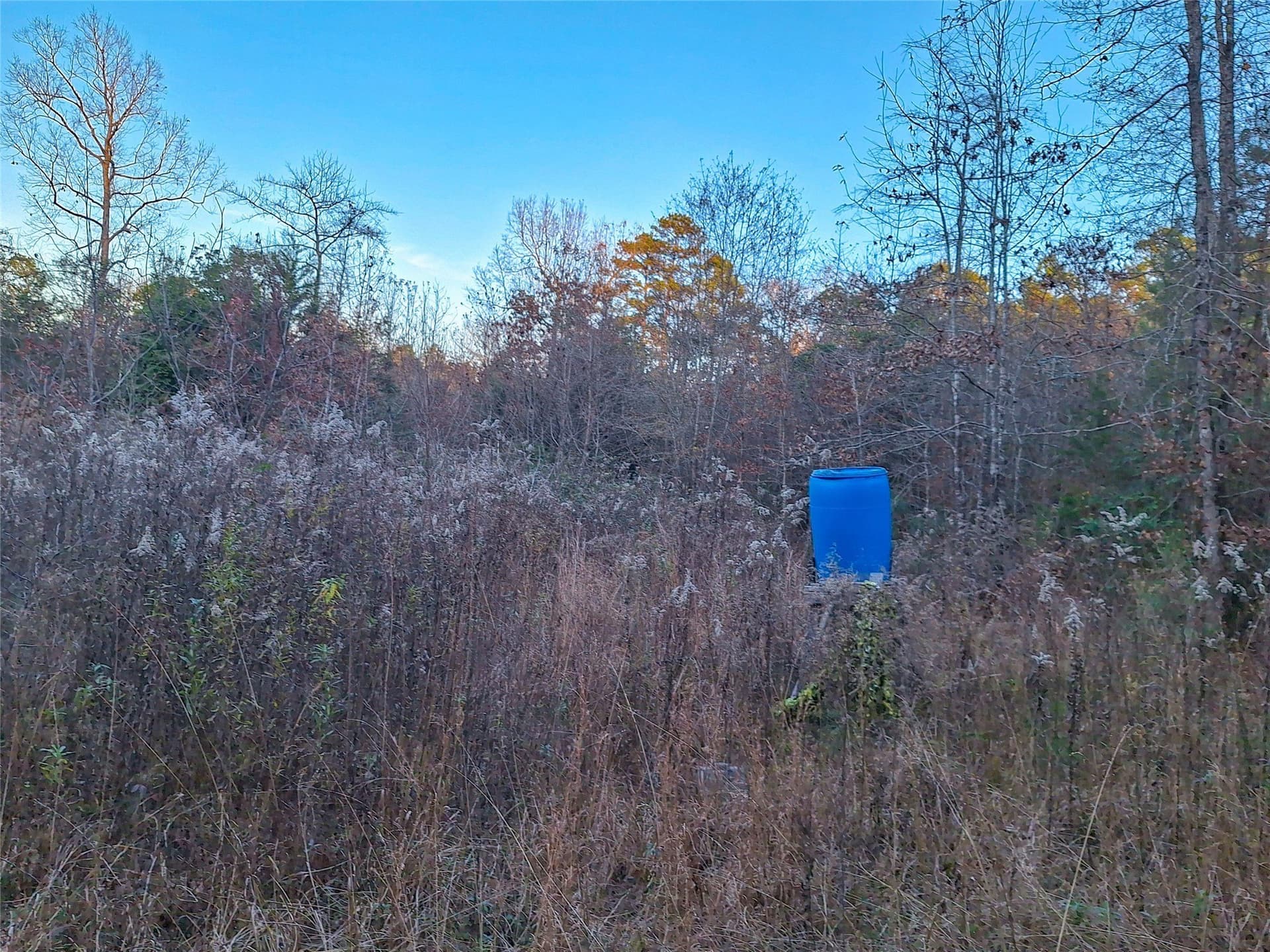 43.7 acres in Cass County - photo 25