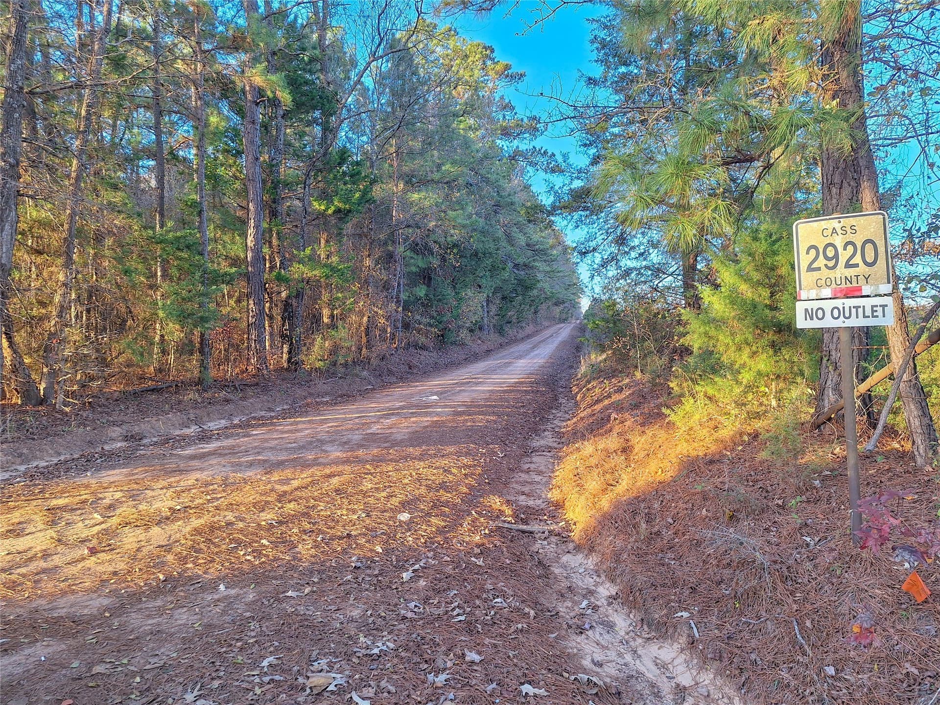 43.7 acres in Cass County - photo 40