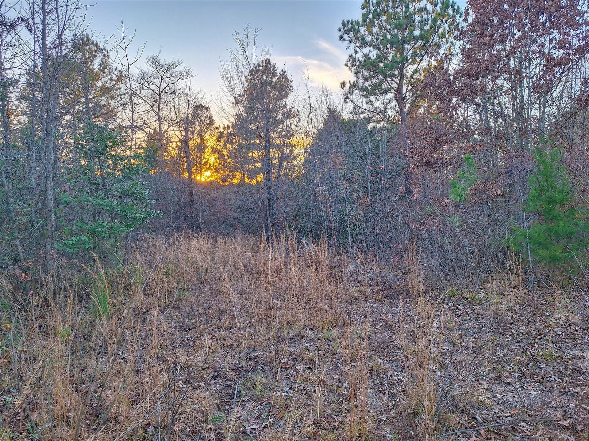 43.7 acres in Cass County - photo 34