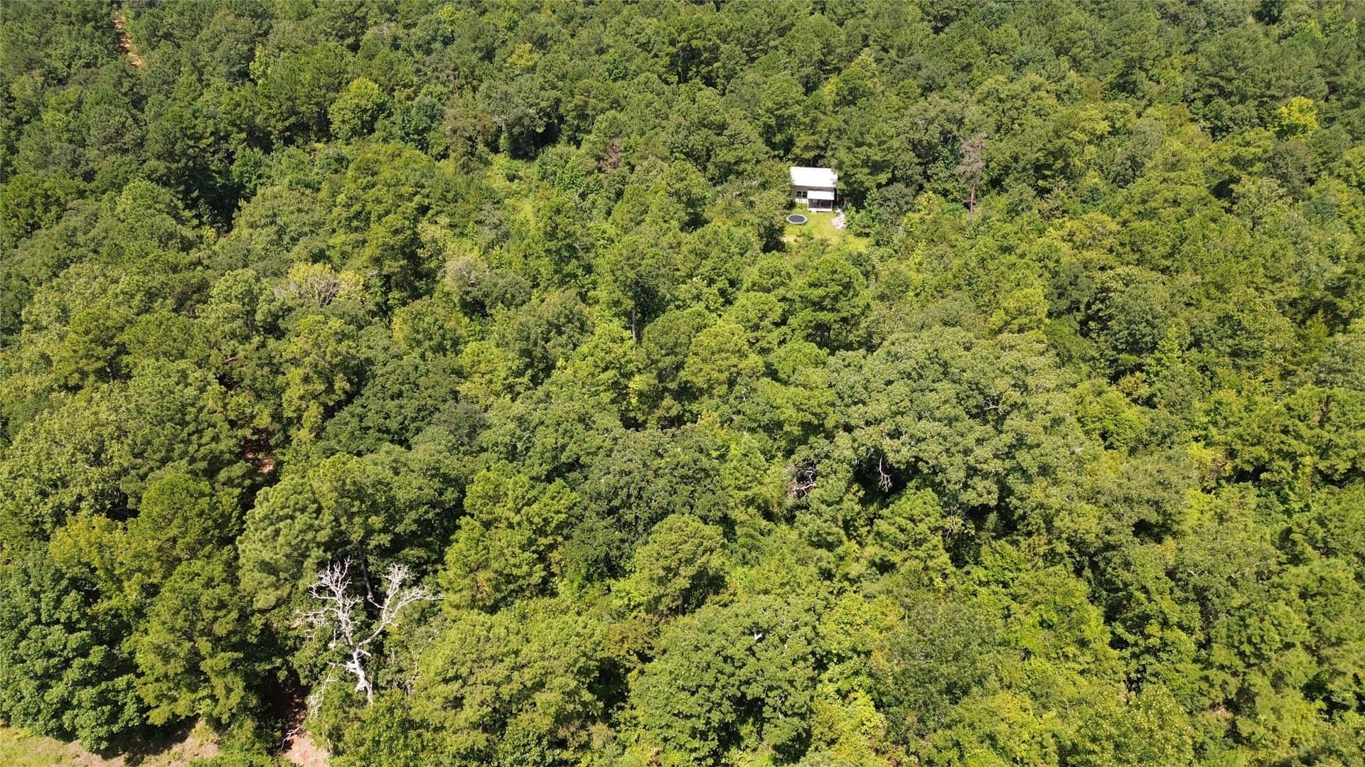 43.7 acres in Cass County - photo 8