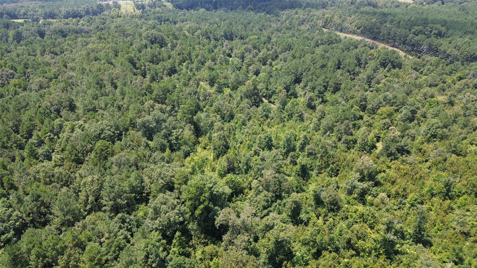 43.7 acres in Cass County - photo 9
