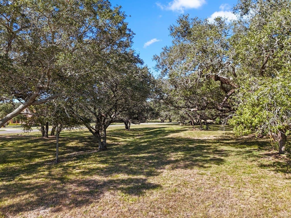 2.01 acres in Blessing Area County gallery image 3
