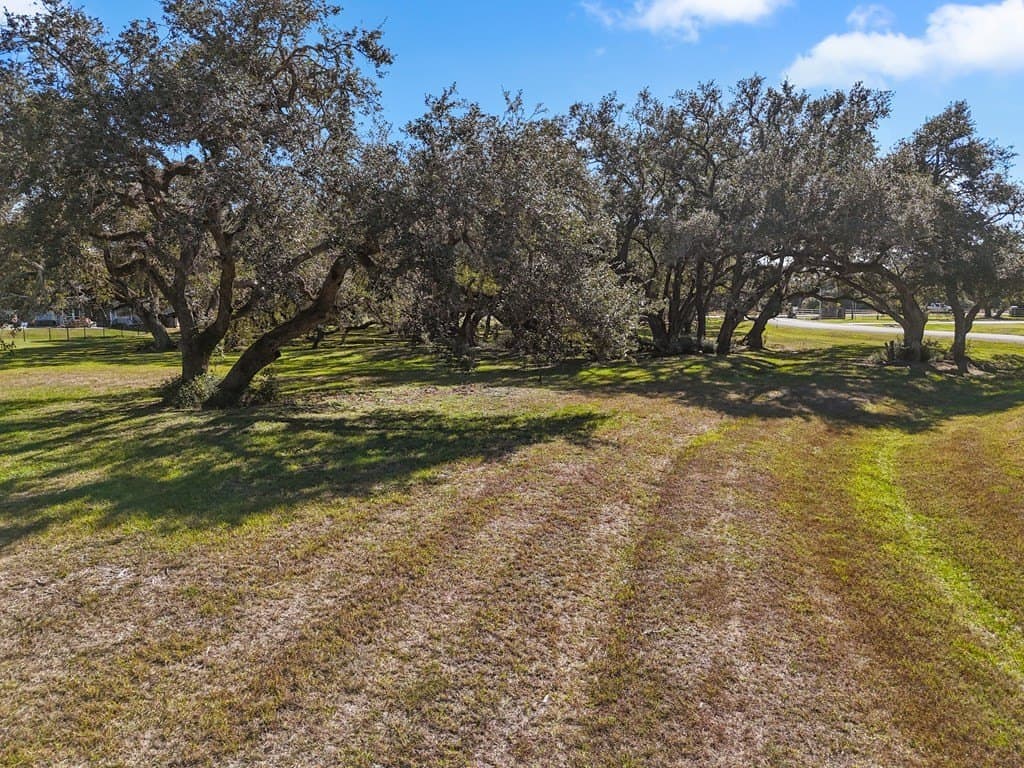 2.01 acres in Blessing Area County gallery image 4