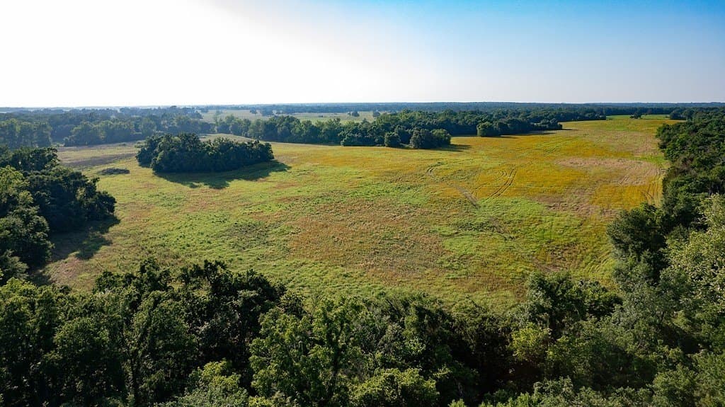 3.33 acres in Milam County - photo 4