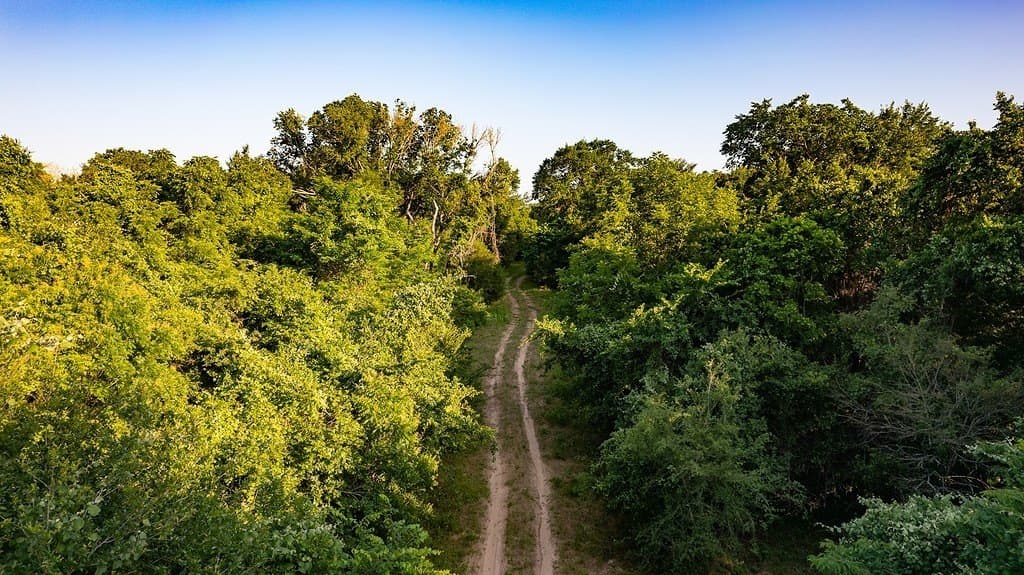 3.33 acres in Milam County - photo 6