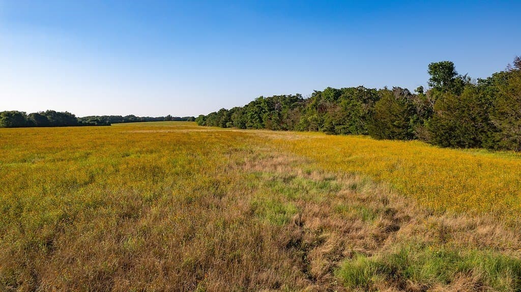3.33 acres in Milam County - photo 3