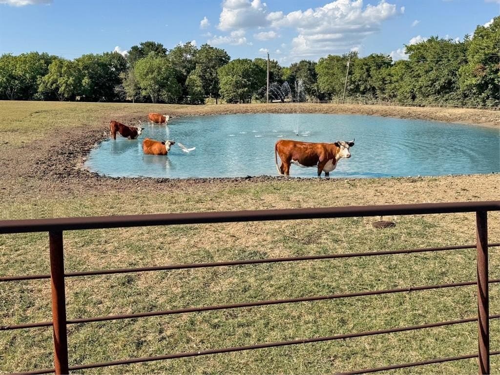 12.35 acres in Fannin County featured view