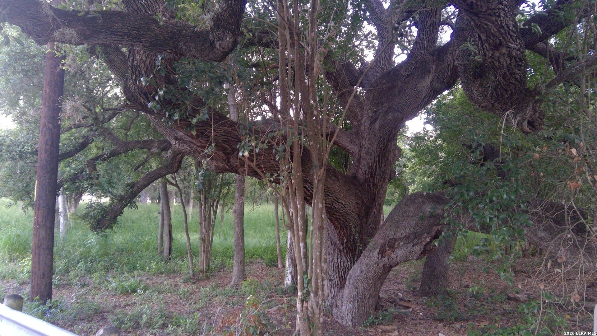 0.45 acres in Bexar County gallery image 2