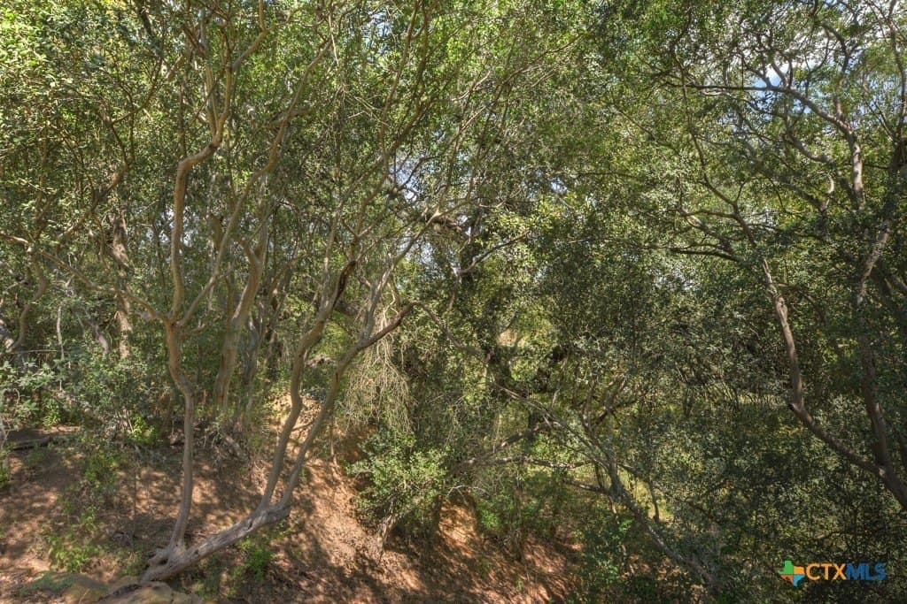 100 acres in Bexar County - photo 38
