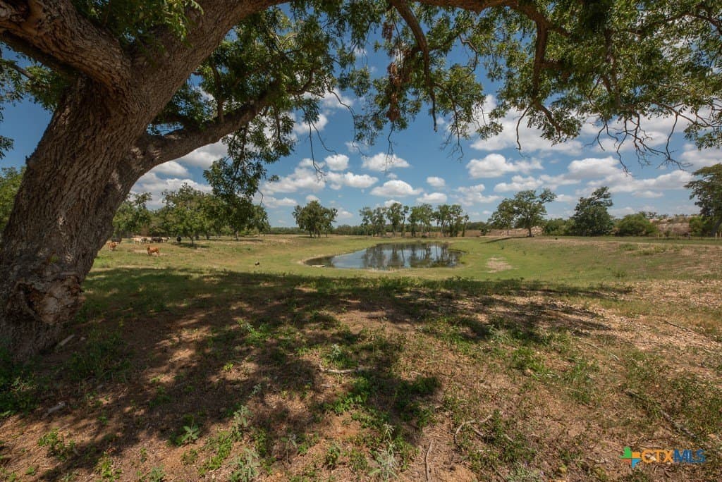 100 acres in Bexar County - photo 46