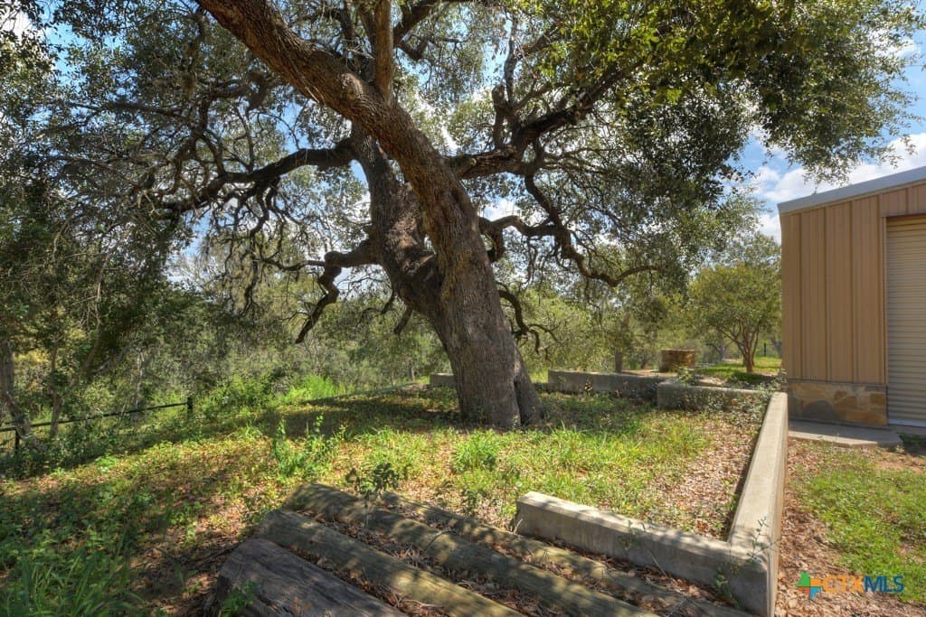 100 acres in Bexar County - photo 37
