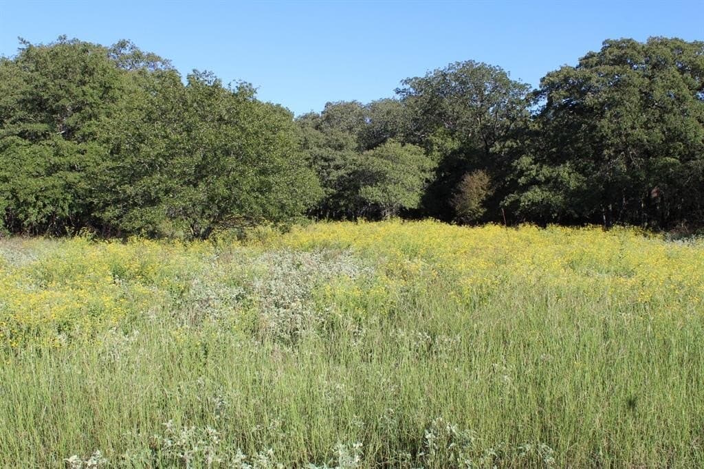 16.13 acres in Wise County gallery image 2