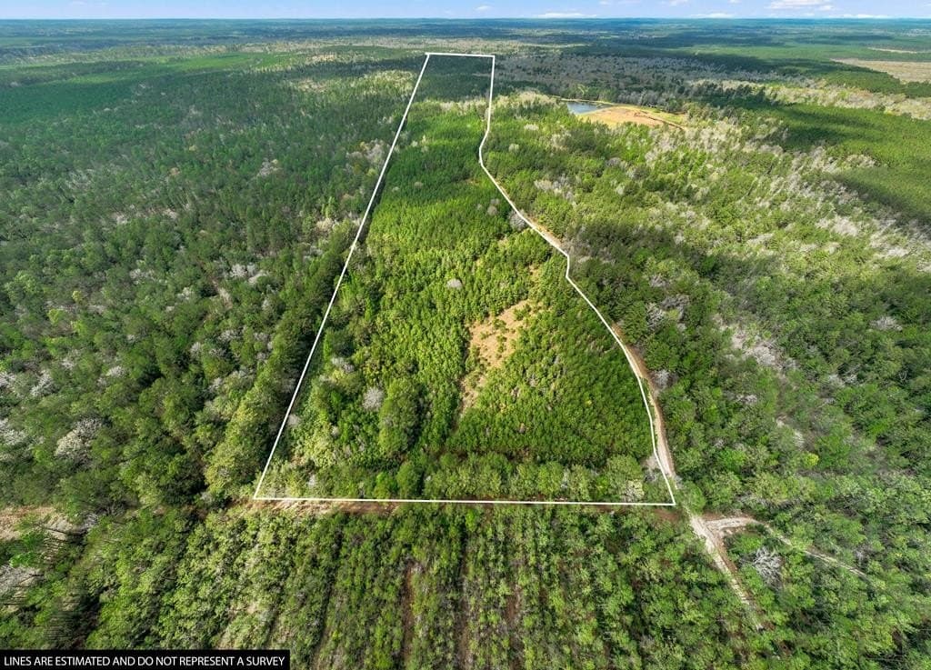 66.8 acres in Texas County - photo 26