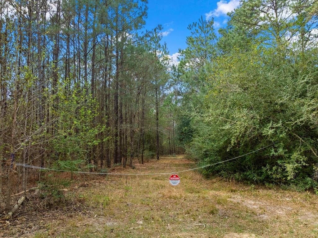 66.8 acres in Texas County - photo 14