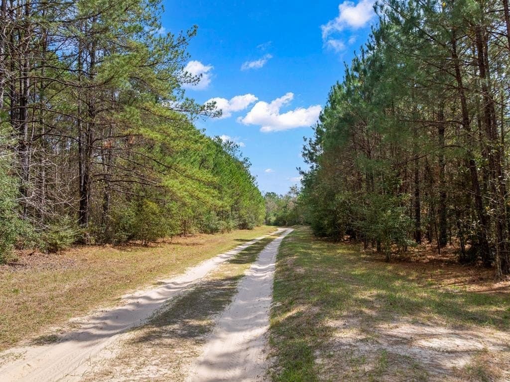 66.8 acres in Texas County - photo 23