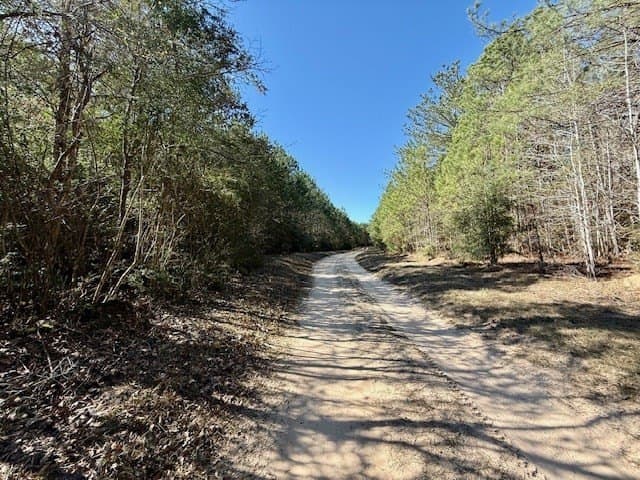 66.8 acres in Texas County - photo 7