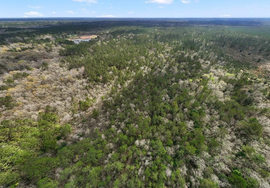 66.8 acres in Texas County - photo 19
