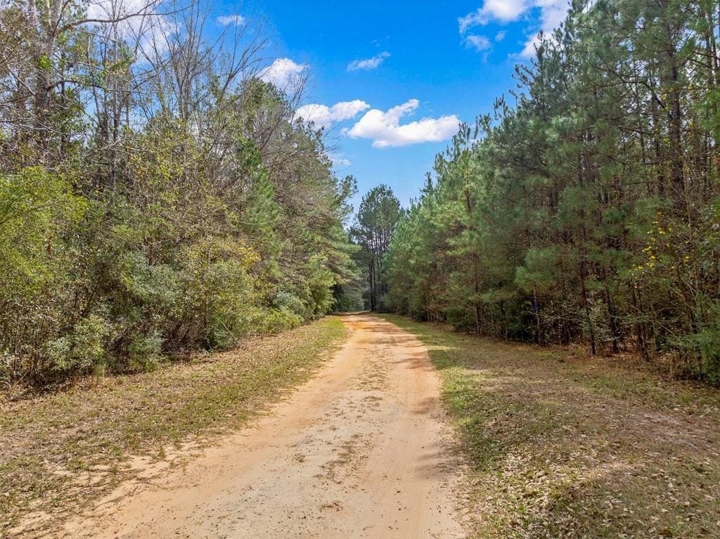 66.8 acres in Texas County - photo 16