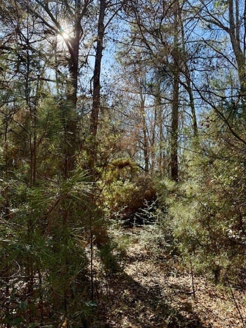 66.8 acres in Texas County - photo 13