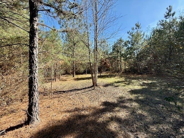66.8 acres in Texas County - photo 6