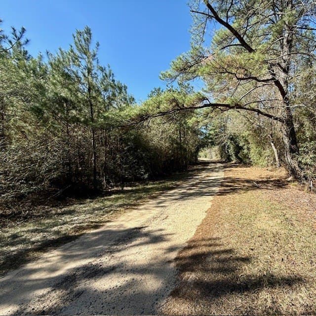 66.8 acres in Texas County gallery image 2