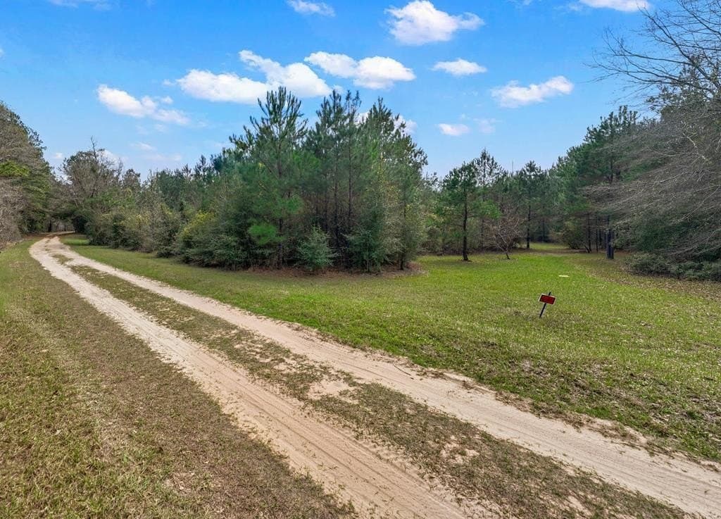 66.8 acres in Texas County - photo 24