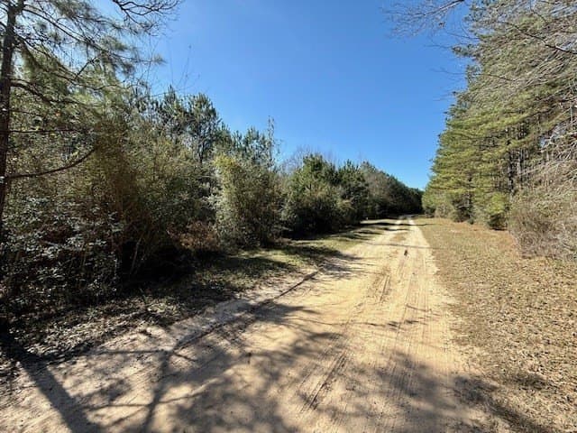 66.8 acres in Texas County gallery image 4