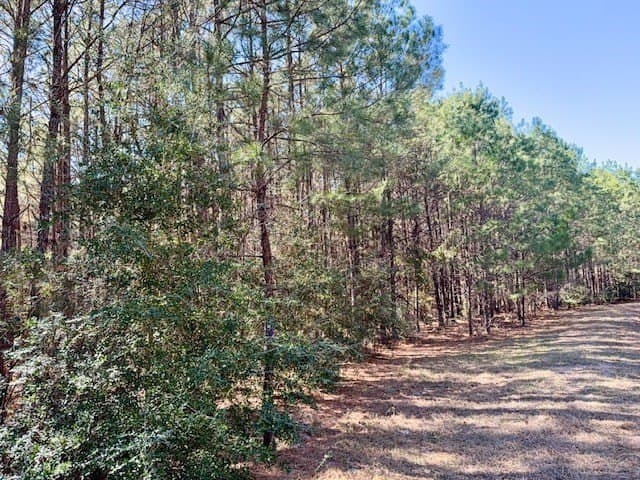 66.8 acres in Texas County - photo 8