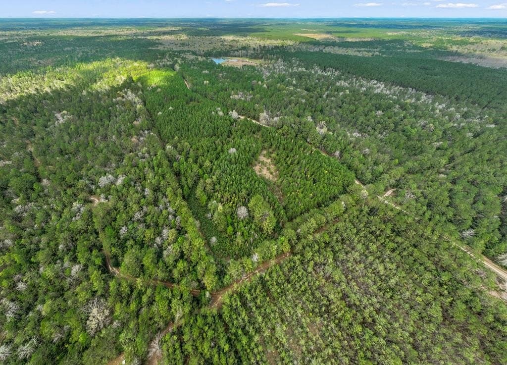 66.8 acres in Texas County - photo 27