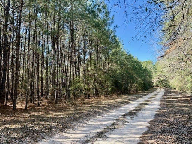 66.8 acres in Texas County - photo 10