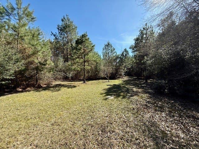 66.8 acres in Texas County featured view