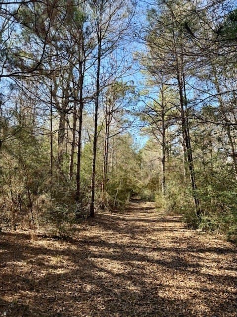 66.8 acres in Texas County - photo 12