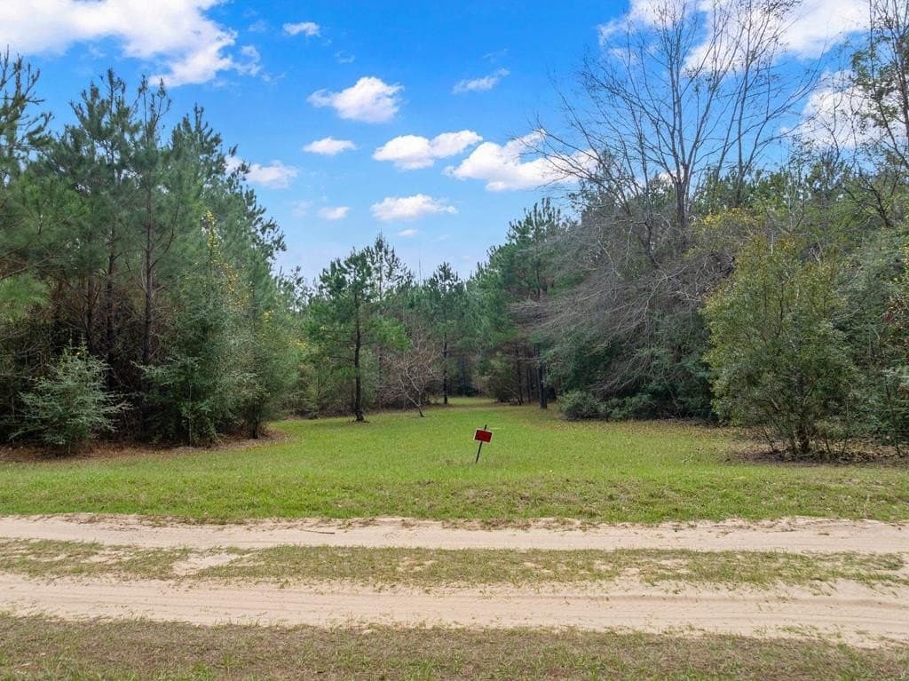 66.8 acres in Texas County - photo 25