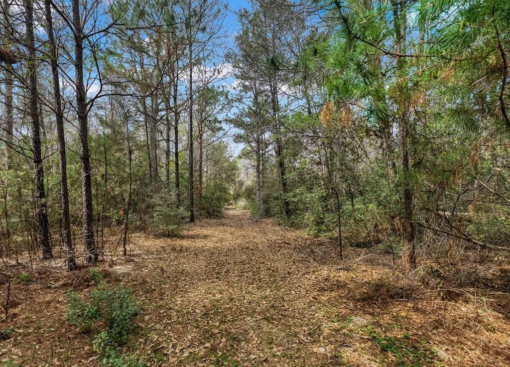 66.8 acres in Texas County - photo 15