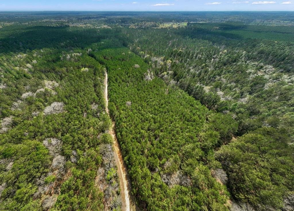 66.8 acres in Texas County - photo 21