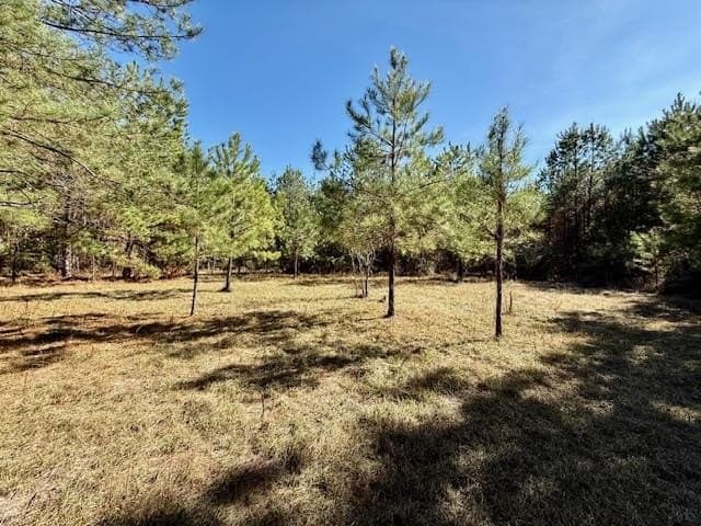 66.8 acres in Texas County