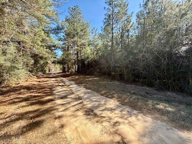 66.8 acres in Texas County gallery image 3