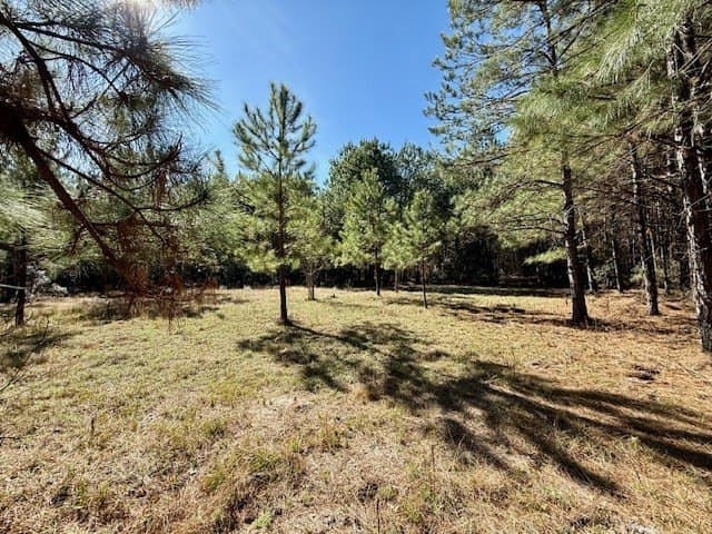 66.8 acres in Texas County - photo 9