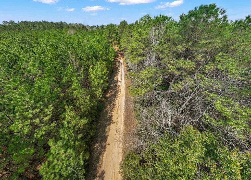 66.8 acres in Texas County - photo 22