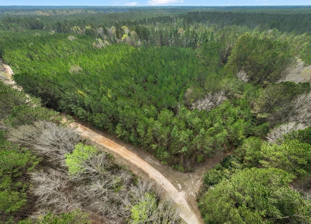 66.8 acres in Texas County - photo 18