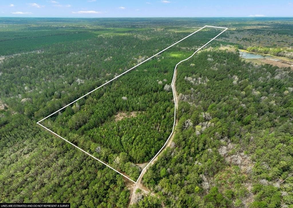 66.8 acres in Texas County - photo 17
