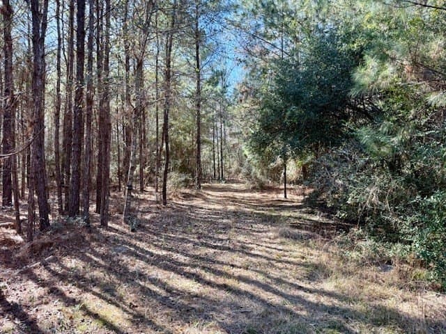 66.8 acres in Texas County - photo 11