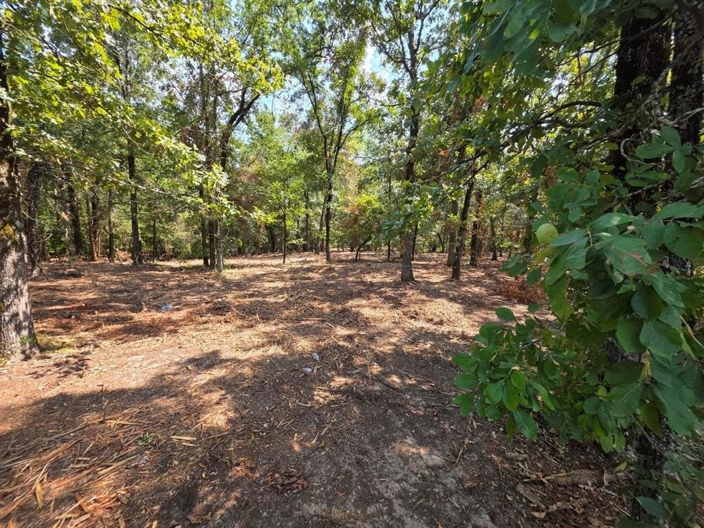 2.01 acres in Titus County featured view