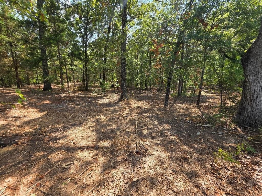 2.01 acres in Titus County