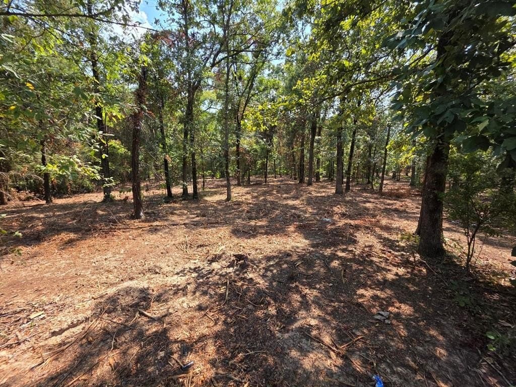 2.01 acres in Titus County gallery image 3
