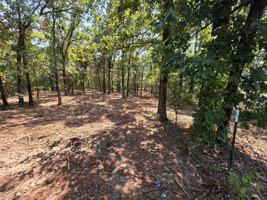 2.01 acres in Titus County gallery image 4