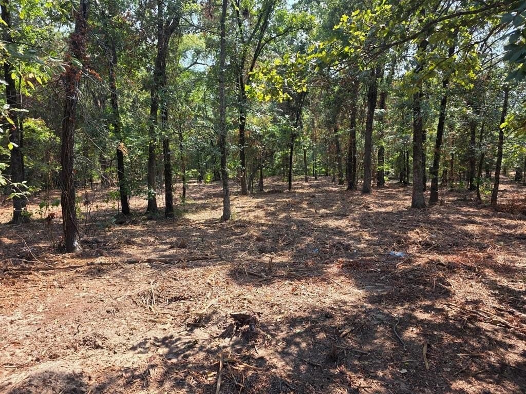 2.01 acres in Titus County gallery image 2