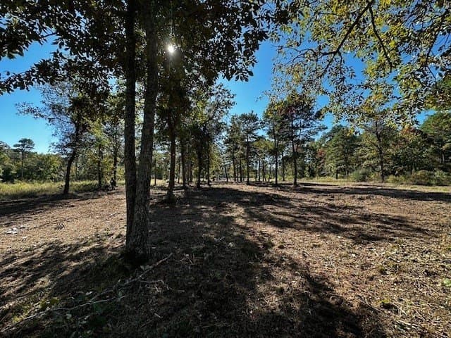 1.29 acres in Henderson County - photo 5